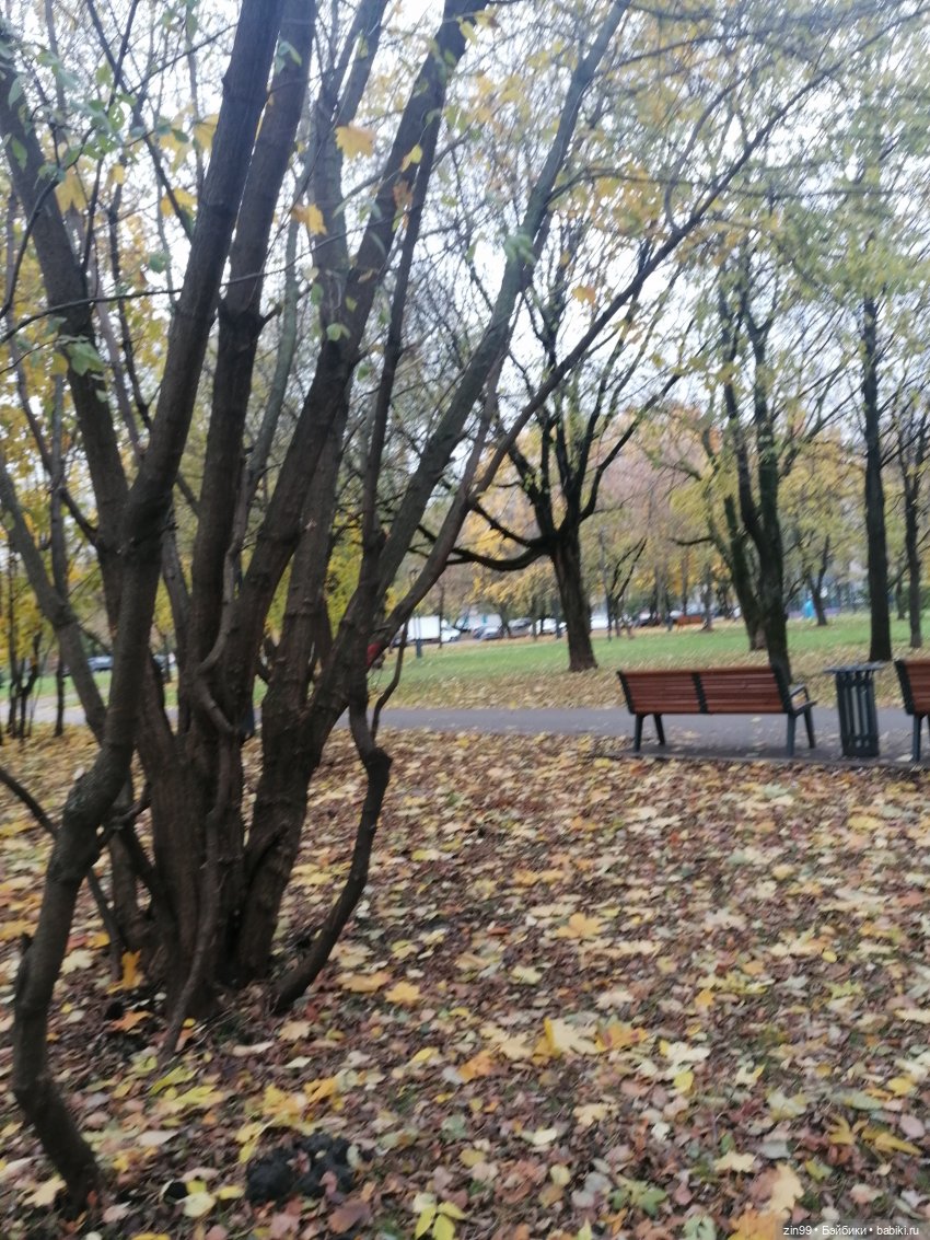 Осень и девочка — Коллекции шарнирных