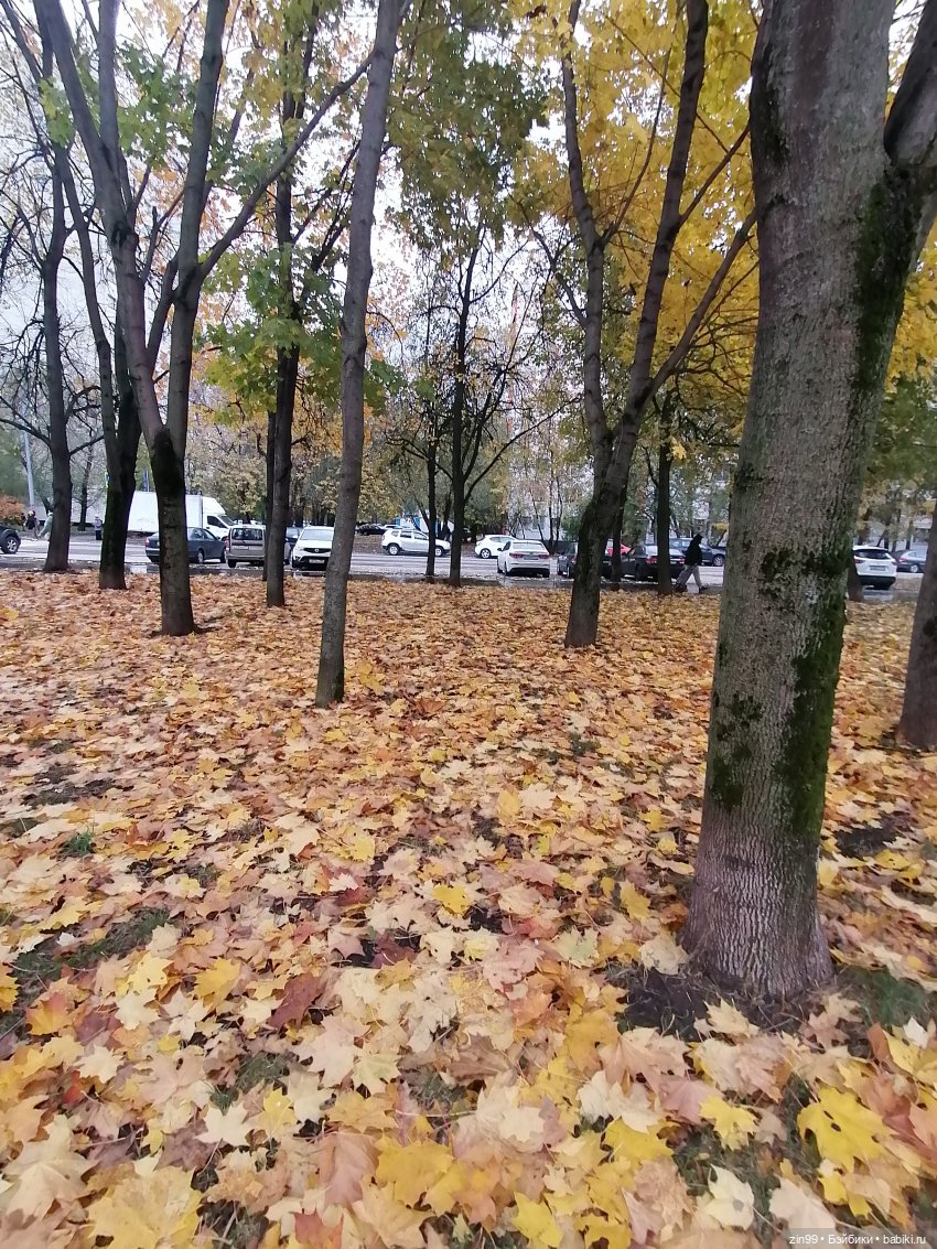 Осень и девочка — Коллекции шарнирных