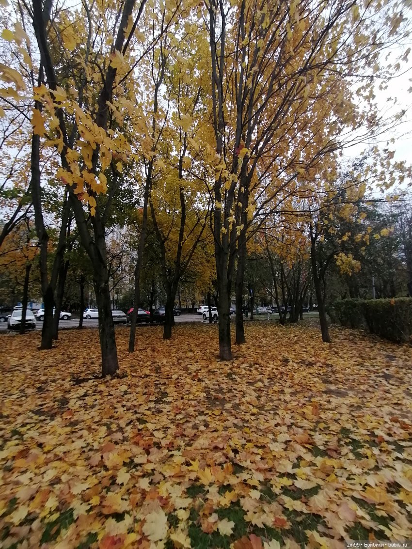 Осень и девочка — Коллекции шарнирных