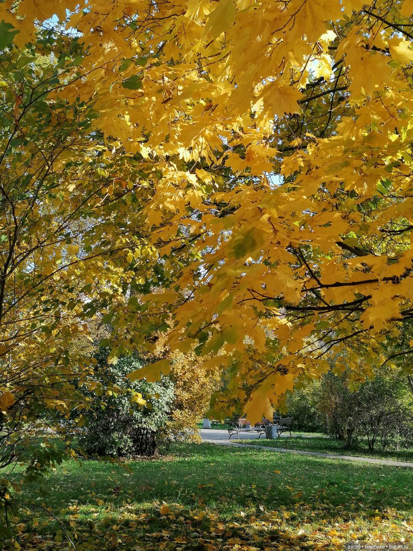 Осень в скверах и парках — Куклы Rainbow High (Рейнбоу Хай