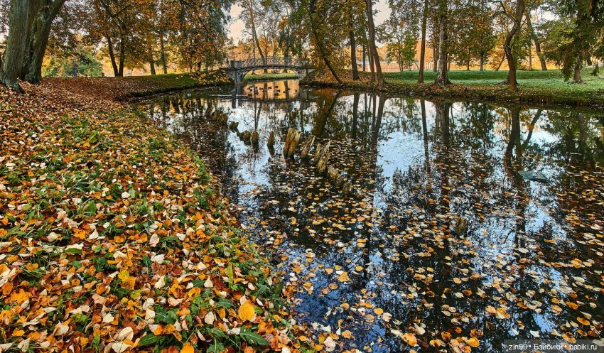 Осень в скверах и парках — Куклы Rainbow High (Рейнбоу Хай (фото 7)