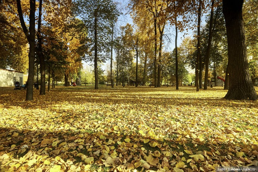 Осень в скверах и парках — Куклы Rainbow High (Рейнбоу Хай (фото 9)