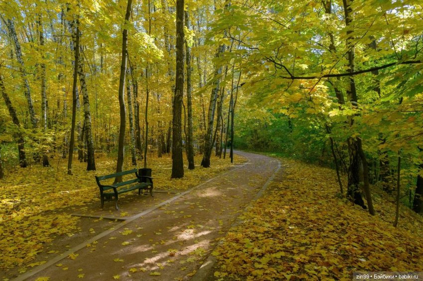 Осень в скверах и парках — Куклы Rainbow High (Рейнбоу Хай (фото 5)