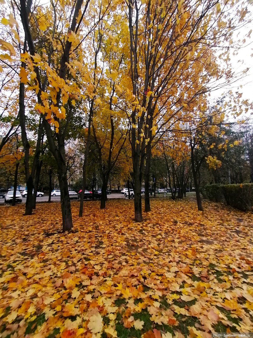 Осень в скверах и парках — Куклы Rainbow High (Рейнбоу Хай