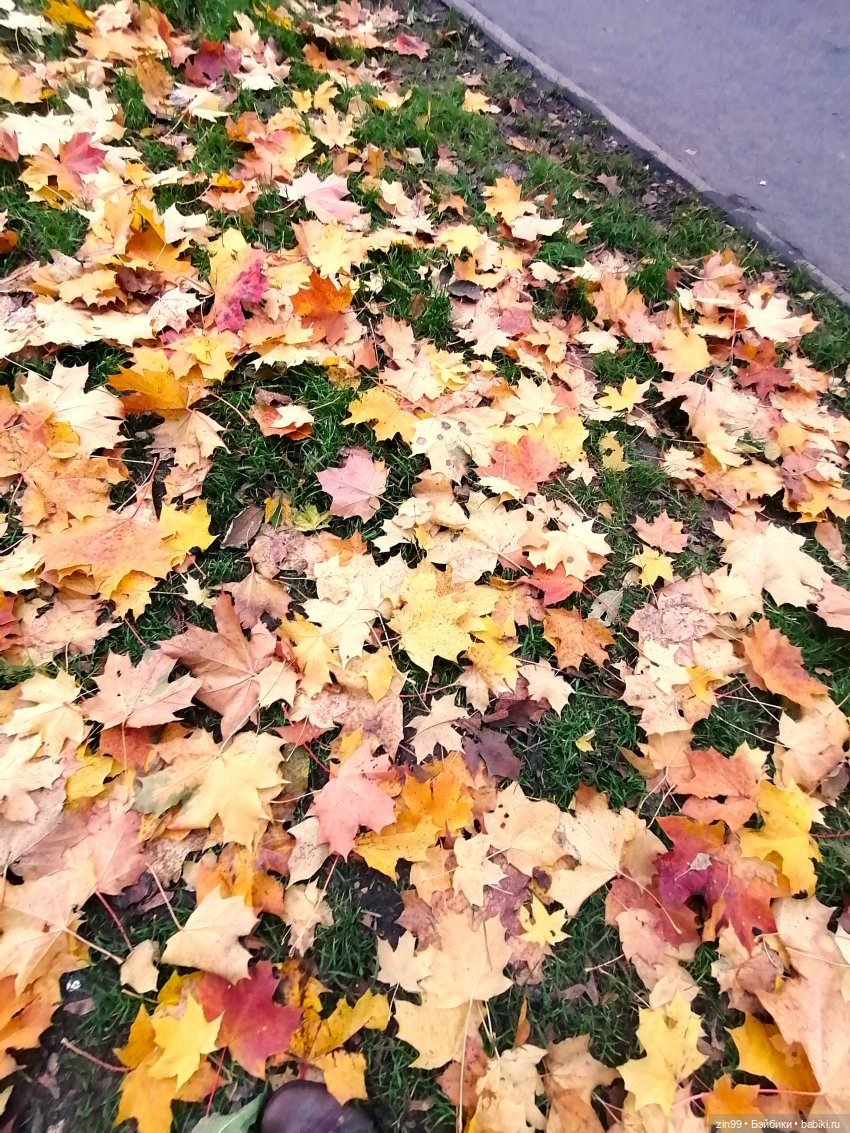 Осень в скверах и парках — Куклы Rainbow High (Рейнбоу Хай