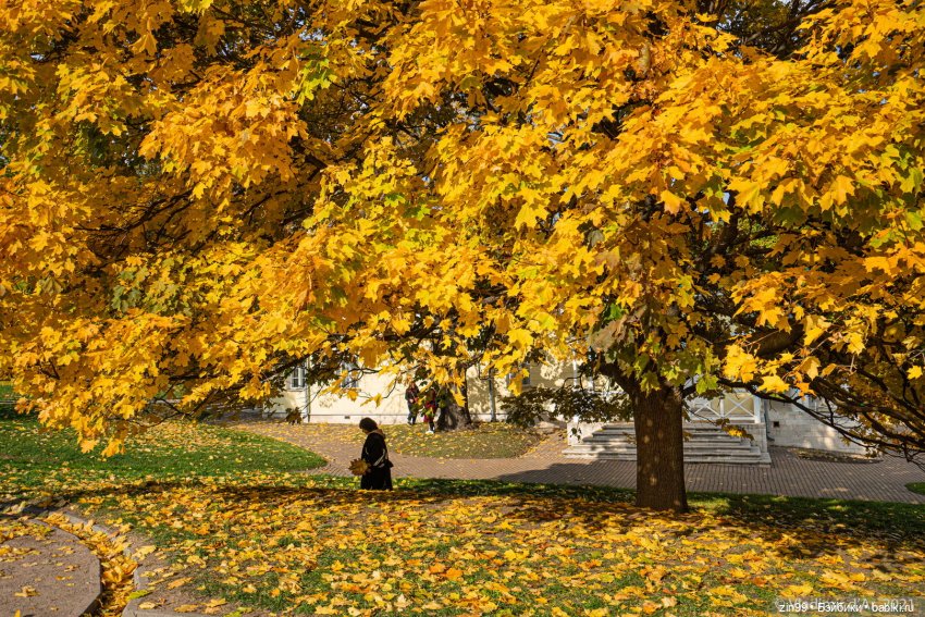 Осень в скверах и парках — Куклы Rainbow High (Рейнбоу Хай