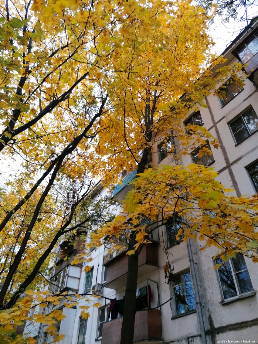 Осень в скверах и парках — Куклы Rainbow High (Рейнбоу Хай