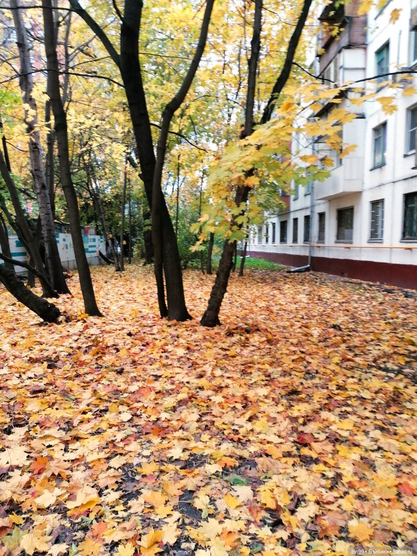 Осень в скверах и парках — Куклы Rainbow High (Рейнбоу Хай
