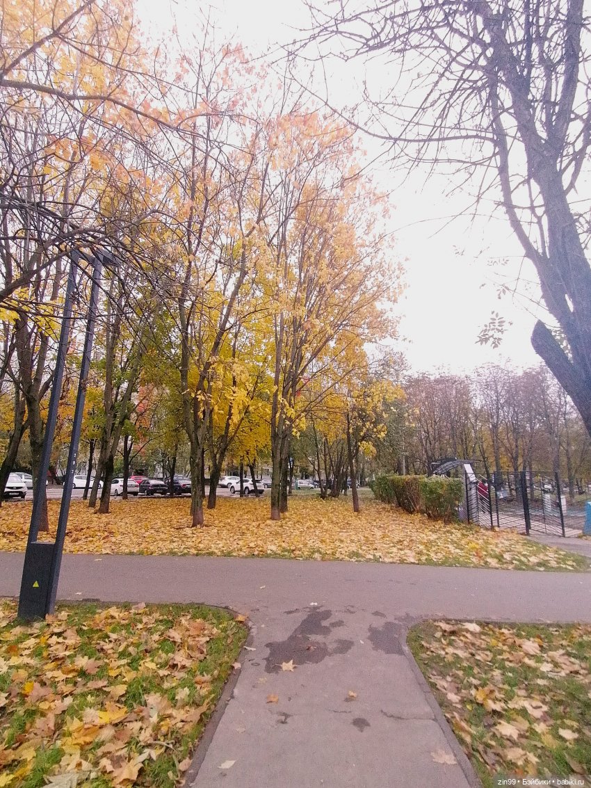 Осень в скверах и парках — Куклы Rainbow High (Рейнбоу Хай