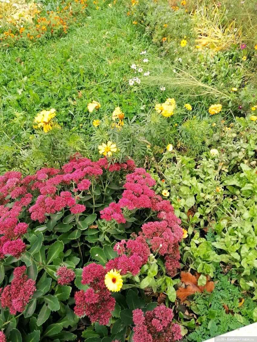 Осень в скверах и парках — Куклы Rainbow High (Рейнбоу Хай