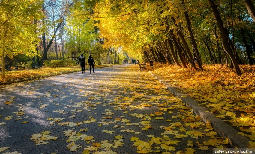 Осень в скверах и парках — Куклы Rainbow High (Рейнбоу Хай (фото 6)
