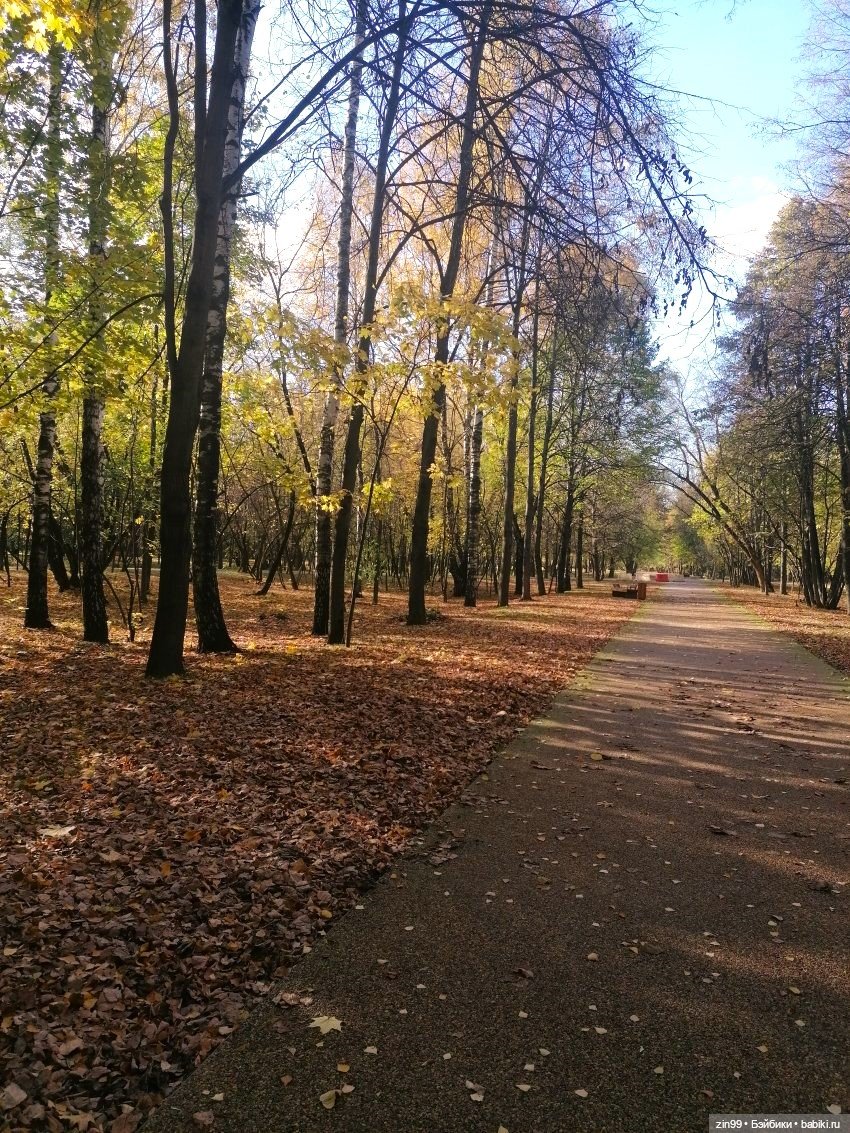 Осень в скверах и парках — Куклы Rainbow High (Рейнбоу Хай (фото 3)