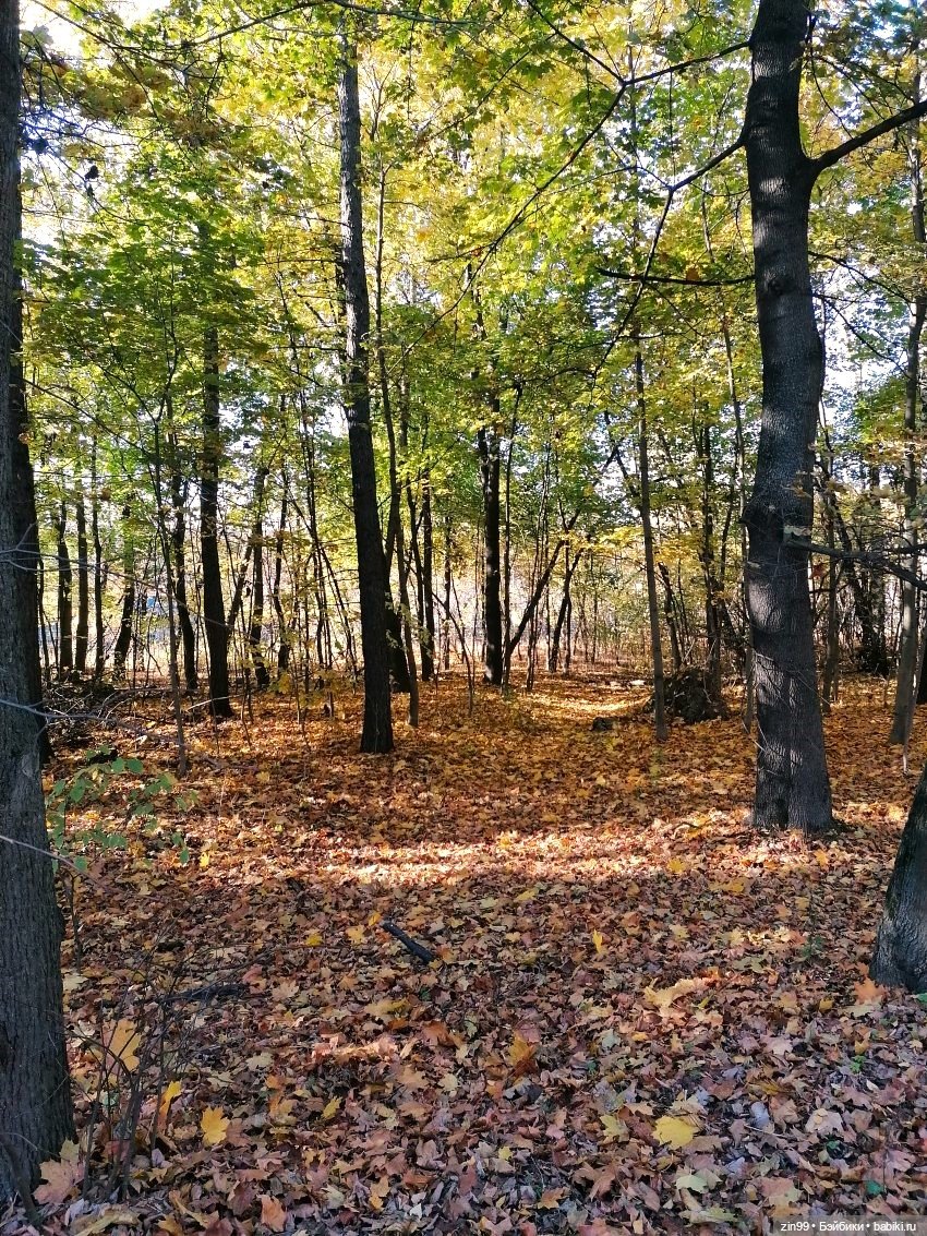 Осень в скверах и парках — Куклы Rainbow High (Рейнбоу Хай (фото 2)