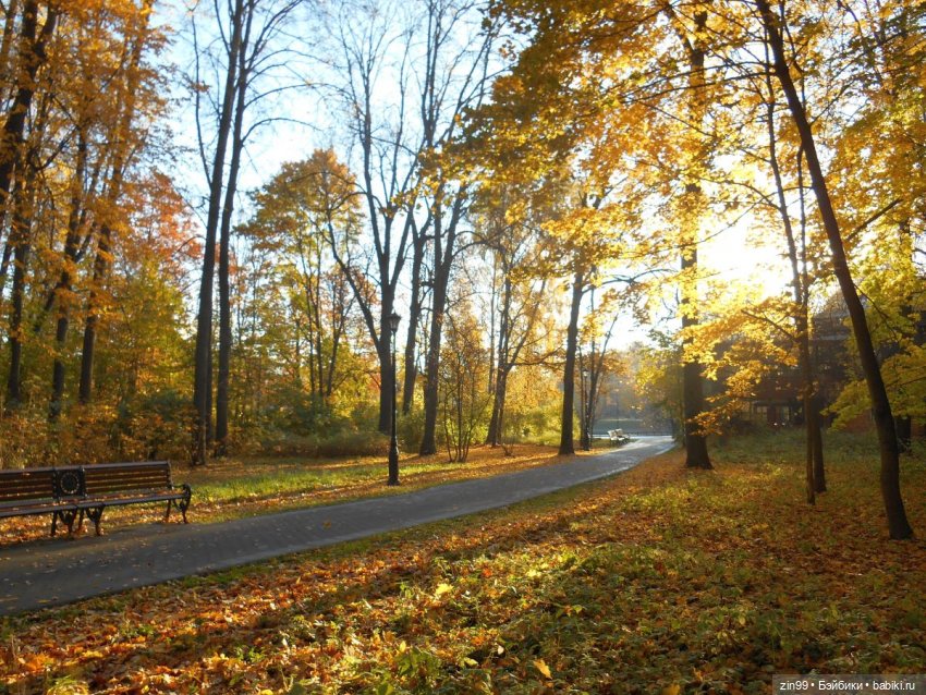 Осень в скверах и парках — Куклы Rainbow High (Рейнбоу Хай (фото 4)