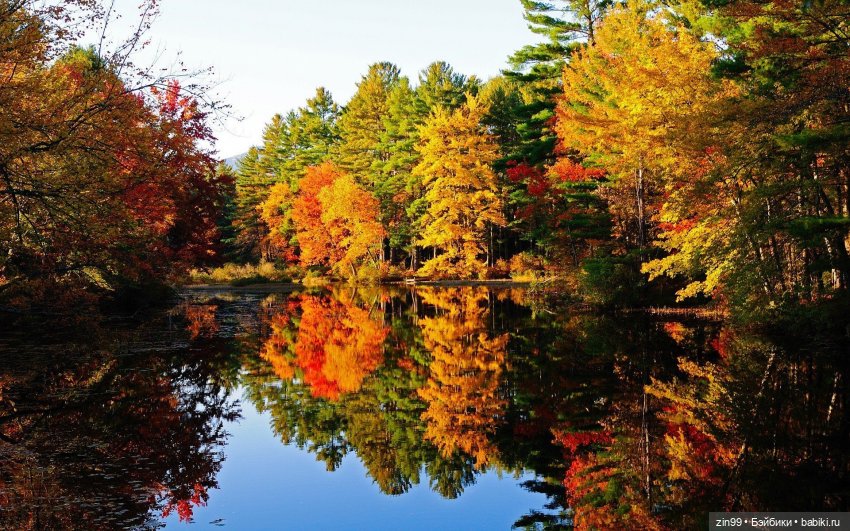 Осень в скверах и парках — Куклы Rainbow High (Рейнбоу Хай (фото 8)
