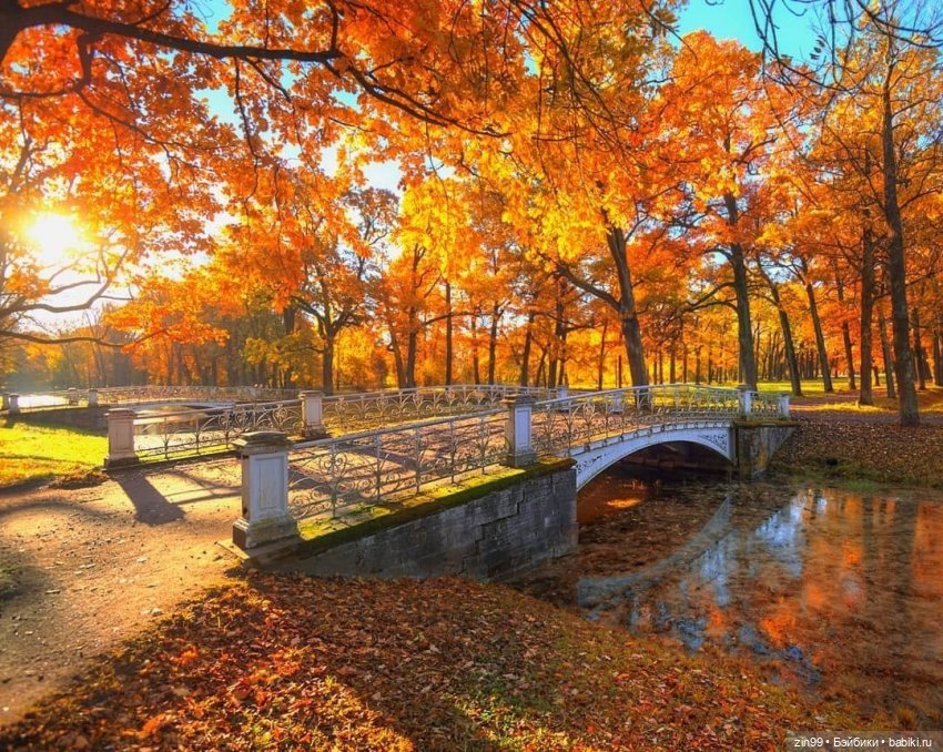 Девочки осенью — Домашние коллекции кукол: фото собраний (фото 3)