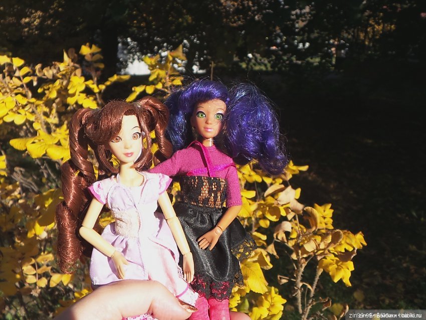 Девочки осенью — Домашние коллекции кукол: фото собраний (фото 5)