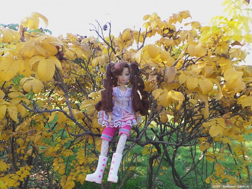 Девочки осенью — Домашние коллекции кукол: фото собраний (фото 6)