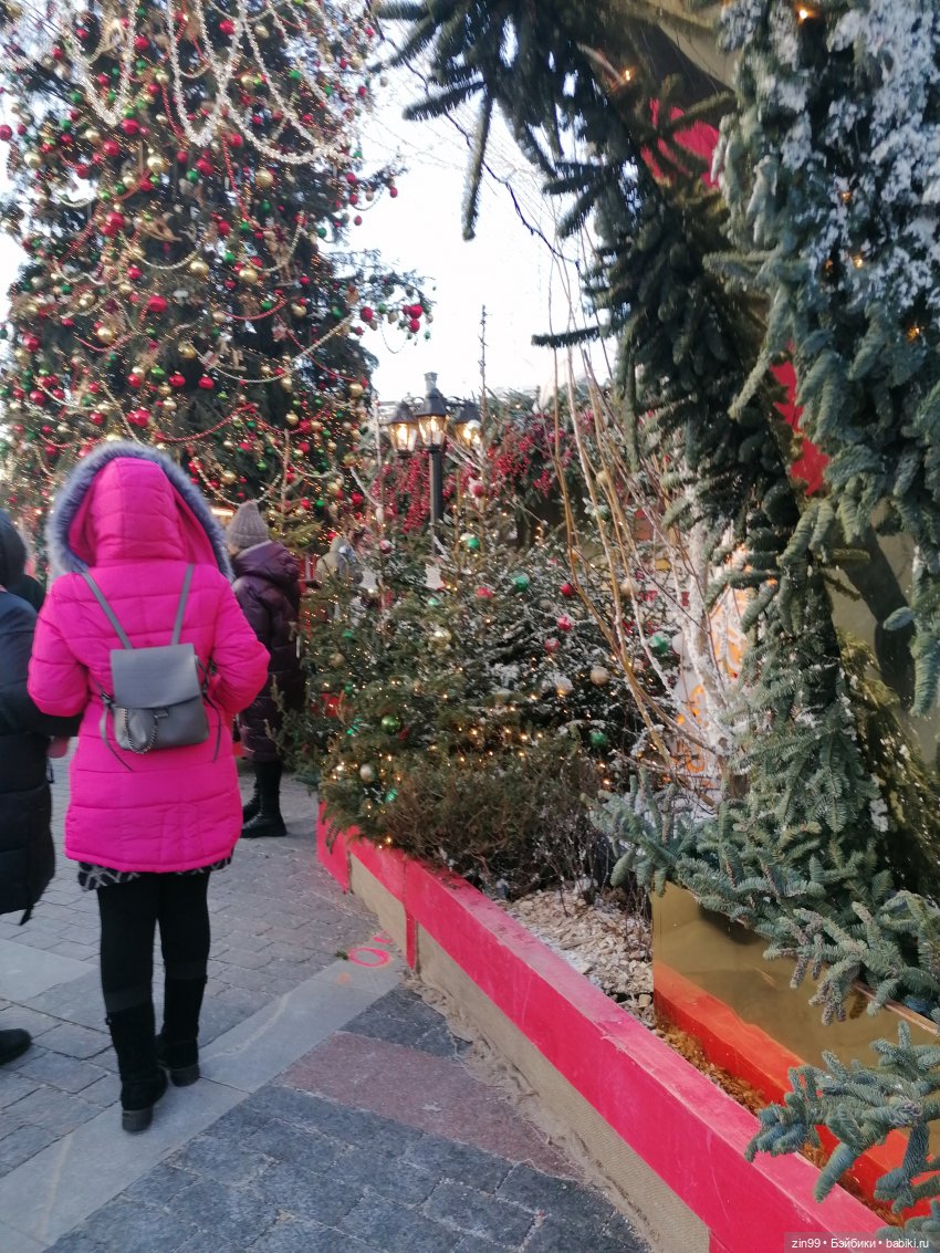 Путешествие в Рождество. Московские сезоны