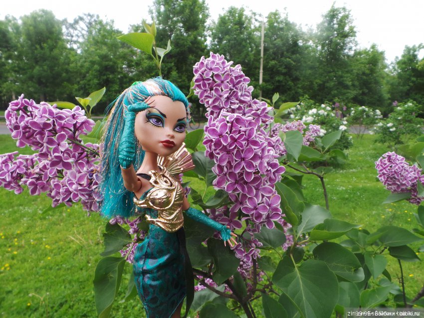 Монстры в городе, или монстер хай вернулись