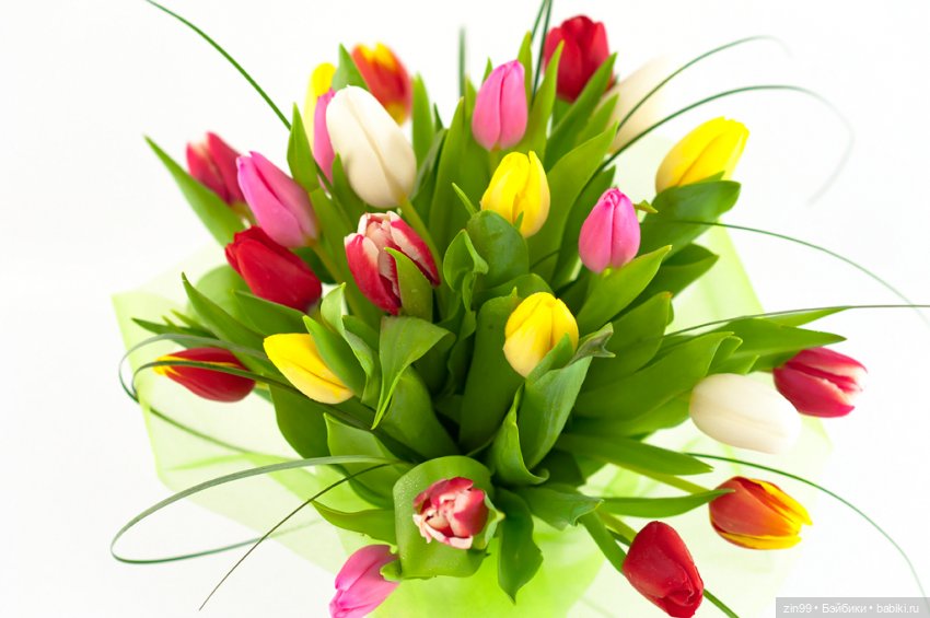 Весенние цветы или с 8 марта всех, поздравляю | Бэйбики Весенние цветы или с 8 марта всех, поздравляю (фото 5)