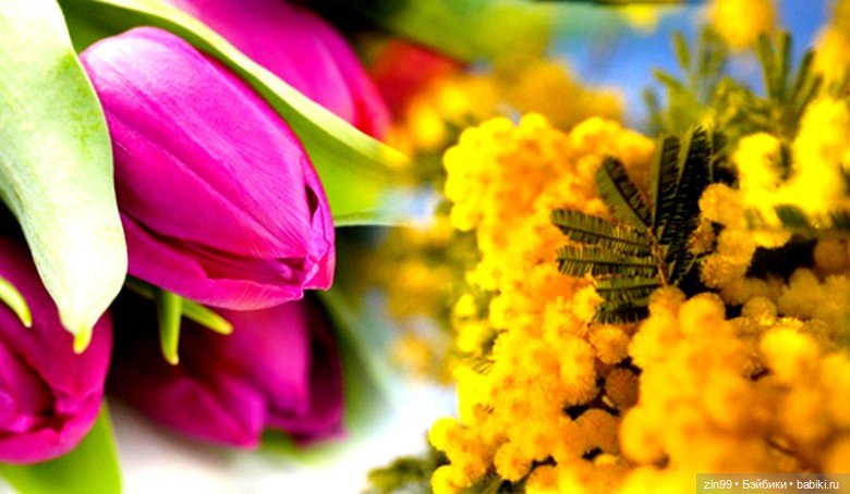 Весенние цветы или с 8 марта всех, поздравляю | Бэйбики Весенние цветы или с 8 марта всех, поздравляю (фото 8)