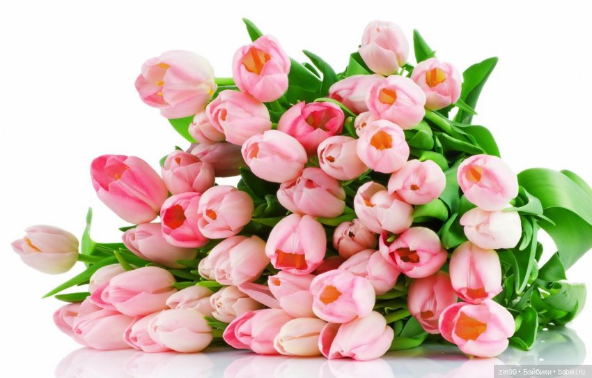 Весенние цветы или с 8 марта всех, поздравляю | Бэйбики Весенние цветы или с 8 марта всех, поздравляю (фото 9)