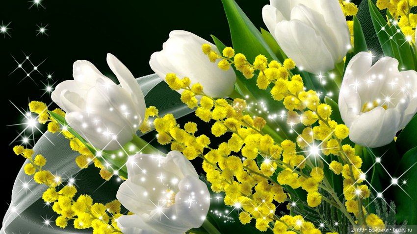 Весенние цветы или с 8 марта всех, поздравляю | Бэйбики Весенние цветы или с 8 марта всех, поздравляю