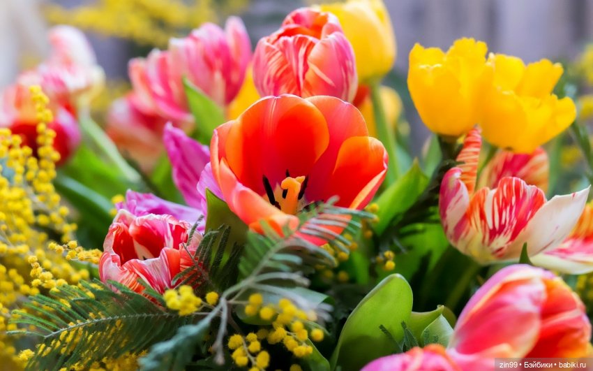 Весенние цветы или с 8 марта всех, поздравляю | Бэйбики Весенние цветы или с 8 марта всех, поздравляю (фото 4)