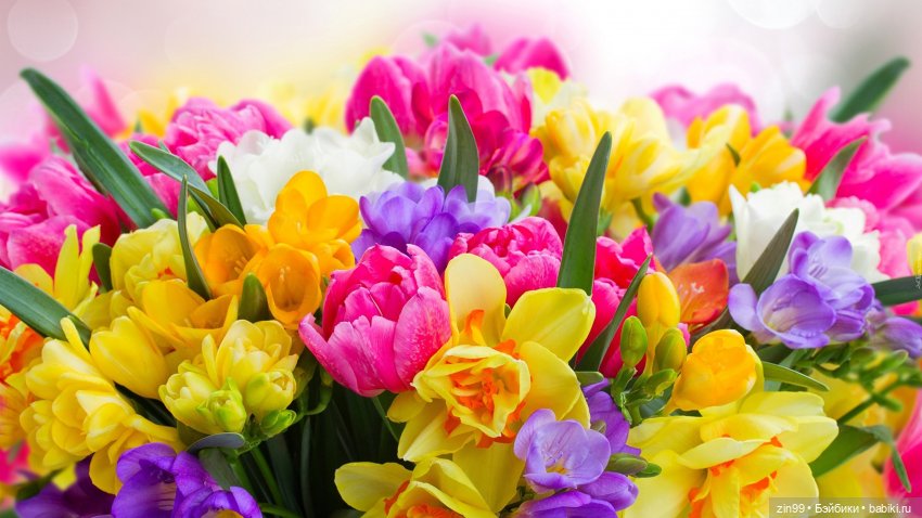 Весенние цветы или с 8 марта всех, поздравляю | Бэйбики Весенние цветы или с 8 марта всех, поздравляю