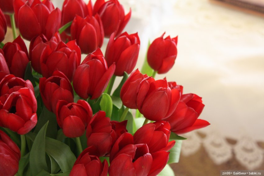 Весенние цветы или с 8 марта всех, поздравляю | Бэйбики Весенние цветы или с 8 марта всех, поздравляю (фото 6)