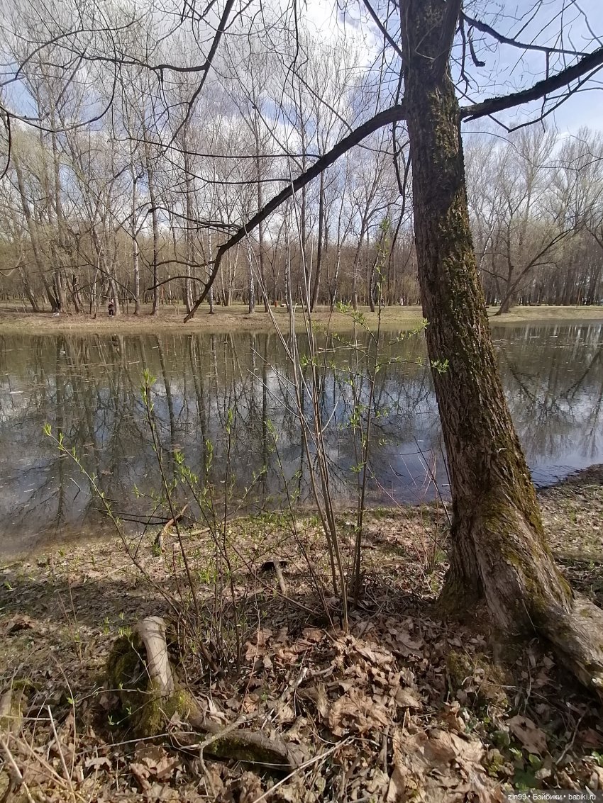 Просто весна и кукла — Куклы Kidz'n'Cats (Соня Хартман): шарнирные 46 см