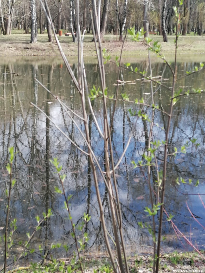 Просто весна и кукла — Куклы Kidz'n'Cats (Соня Хартман): шарнирные 46 см