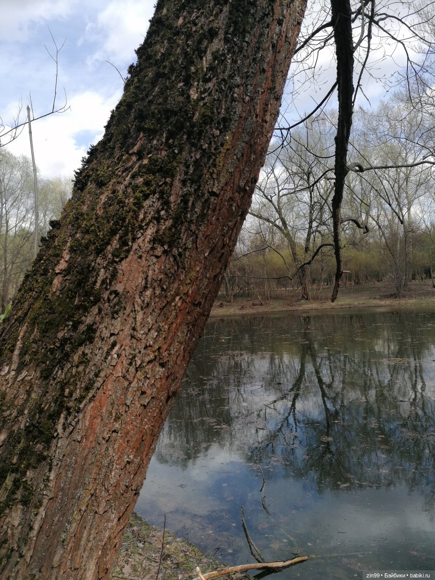 Просто весна и кукла — Куклы Kidz'n'Cats (Соня Хартман): шарнирные 46 см