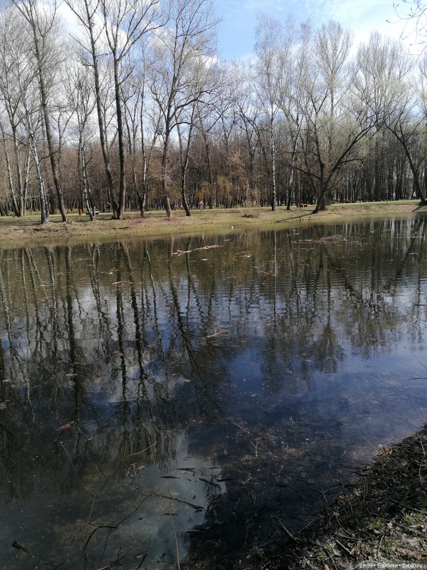 Просто весна и кукла — Куклы Kidz'n'Cats (Соня Хартман): шарнирные 46 см