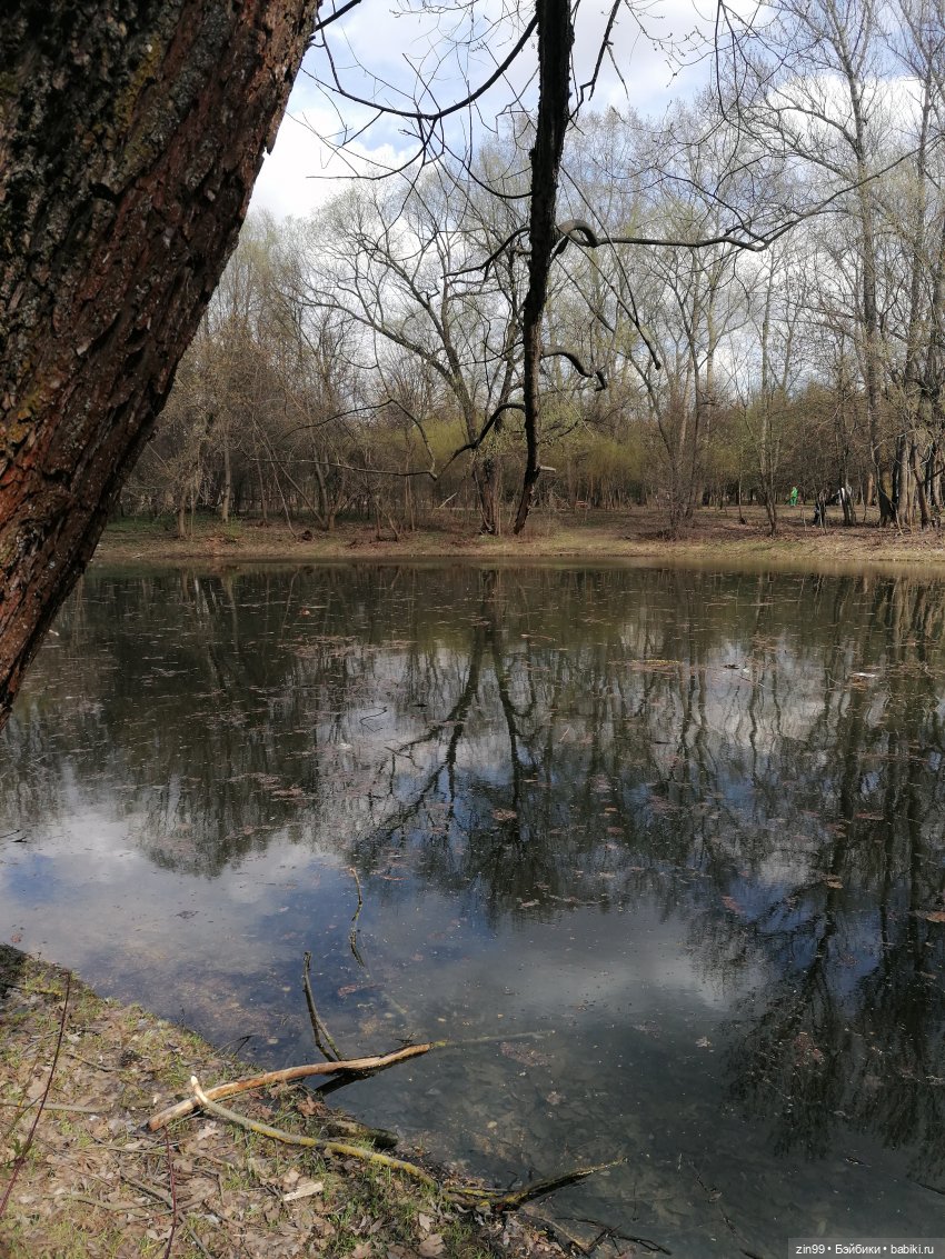 Просто весна и кукла — Куклы Kidz'n'Cats (Соня Хартман): шарнирные 46 см