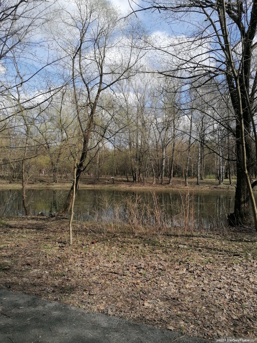 Просто весна и кукла — Куклы Kidz'n'Cats (Соня Хартман): шарнирные 46 см (фото 2)