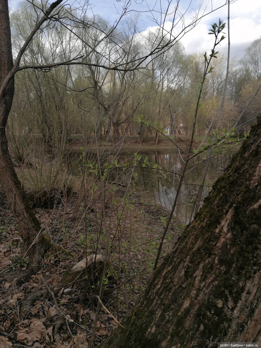 Просто весна и кукла — Куклы Kidz'n'Cats (Соня Хартман): шарнирные 46 см