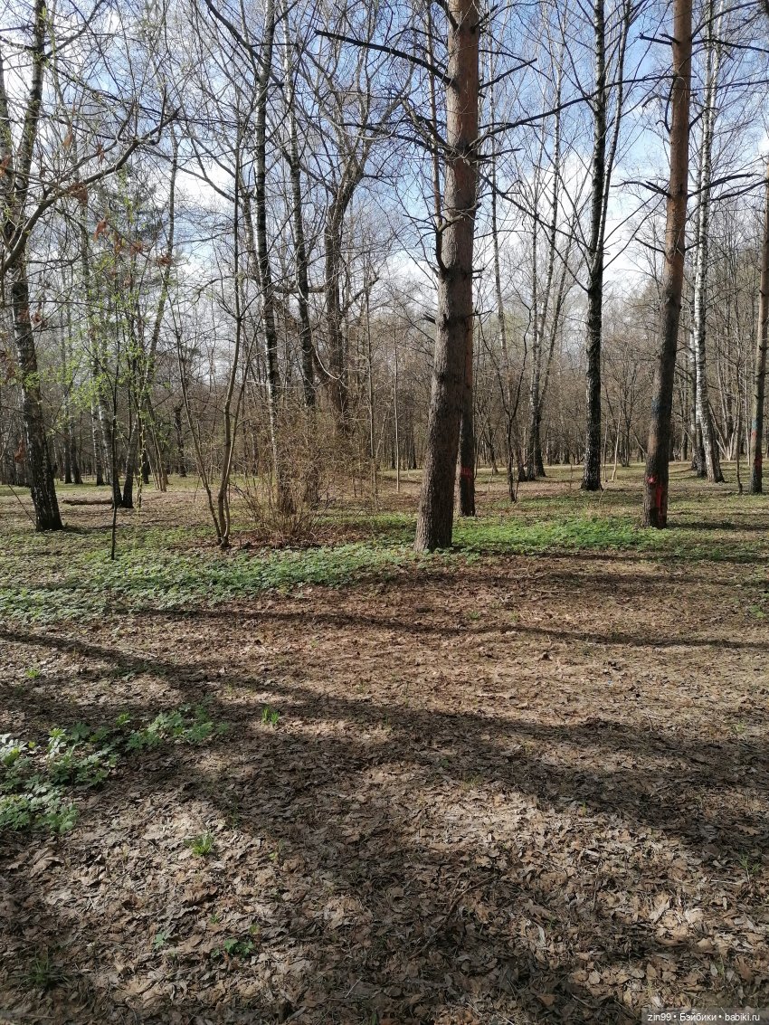 Просто весна и кукла — Куклы Kidz'n'Cats (Соня Хартман): шарнирные 46 см