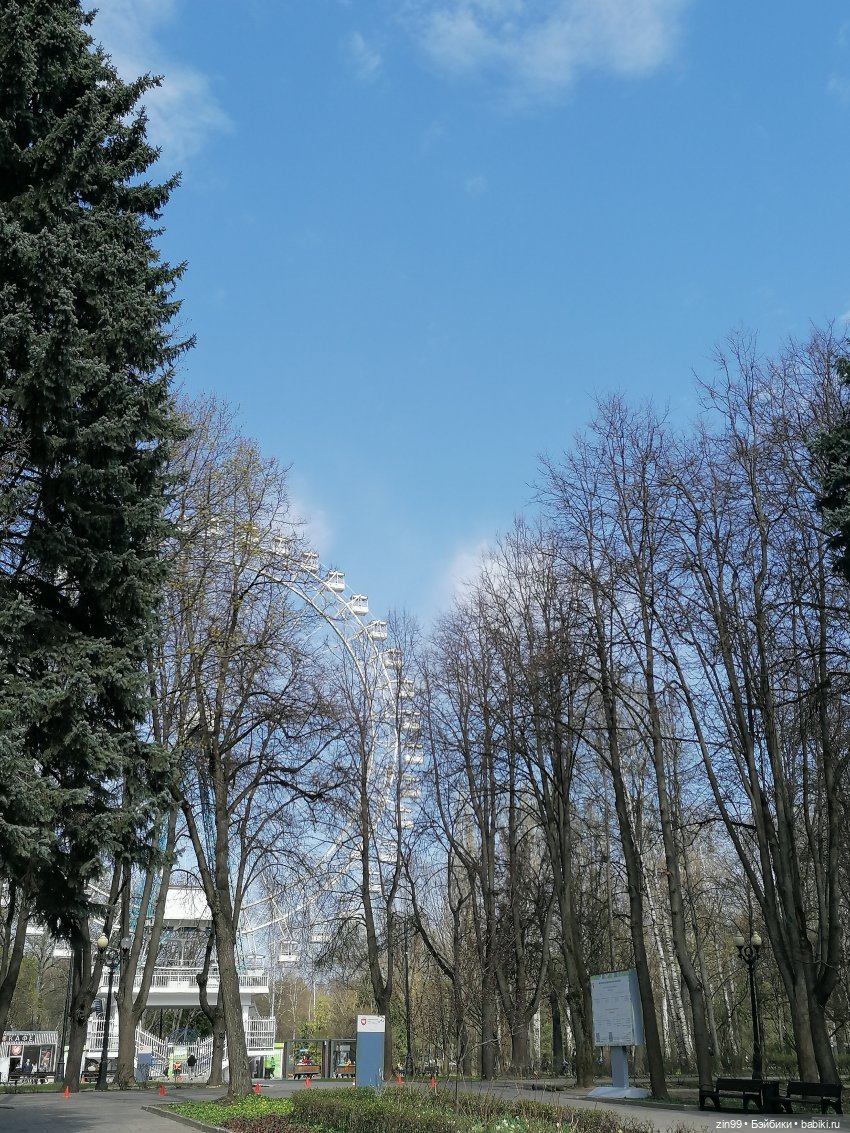 Воскресная прогулка в Измайловском парке (фото 7)