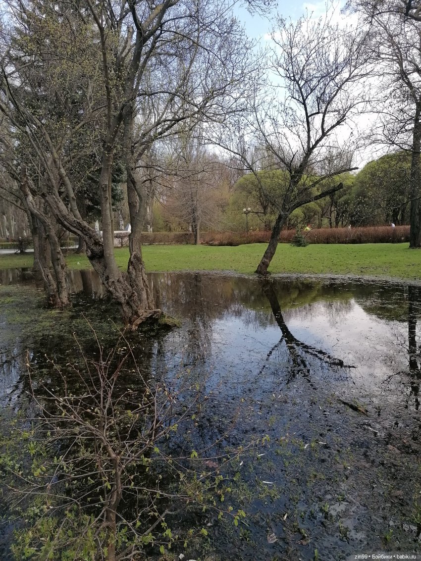 Воскресная прогулка в Измайловском парке