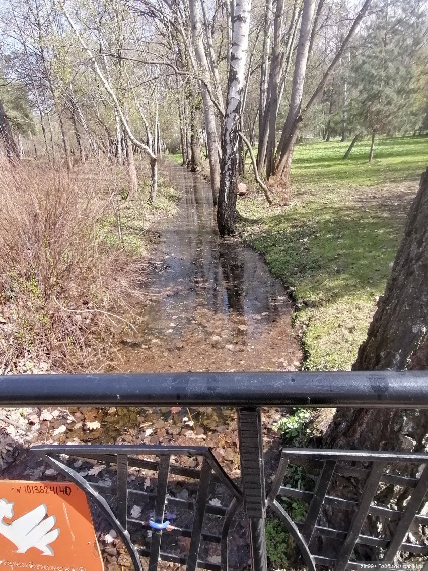 Воскресная прогулка в Измайловском парке