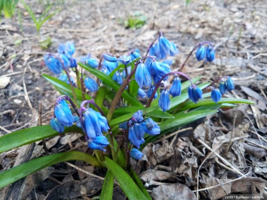 Воскресная прогулка в Измайловском парке