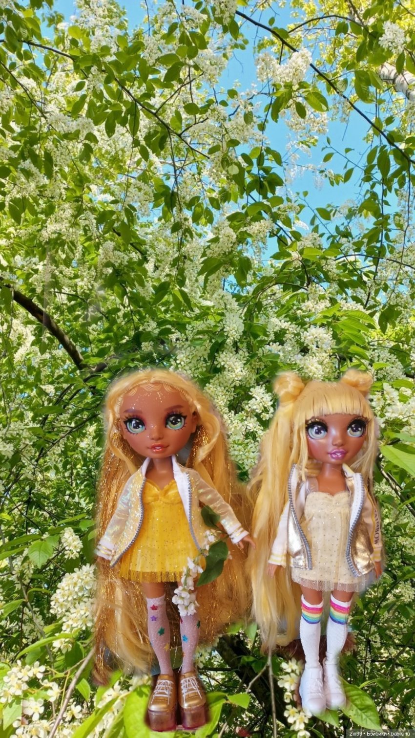 Цветет вишня, черемуха и куклы Rainbow High