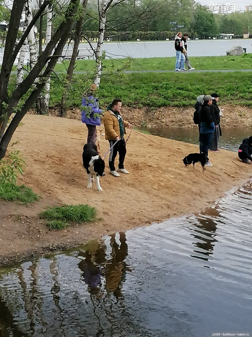 Сабрина в парке Кусково — Куклы Rainbow High (Рейнбоу Хай