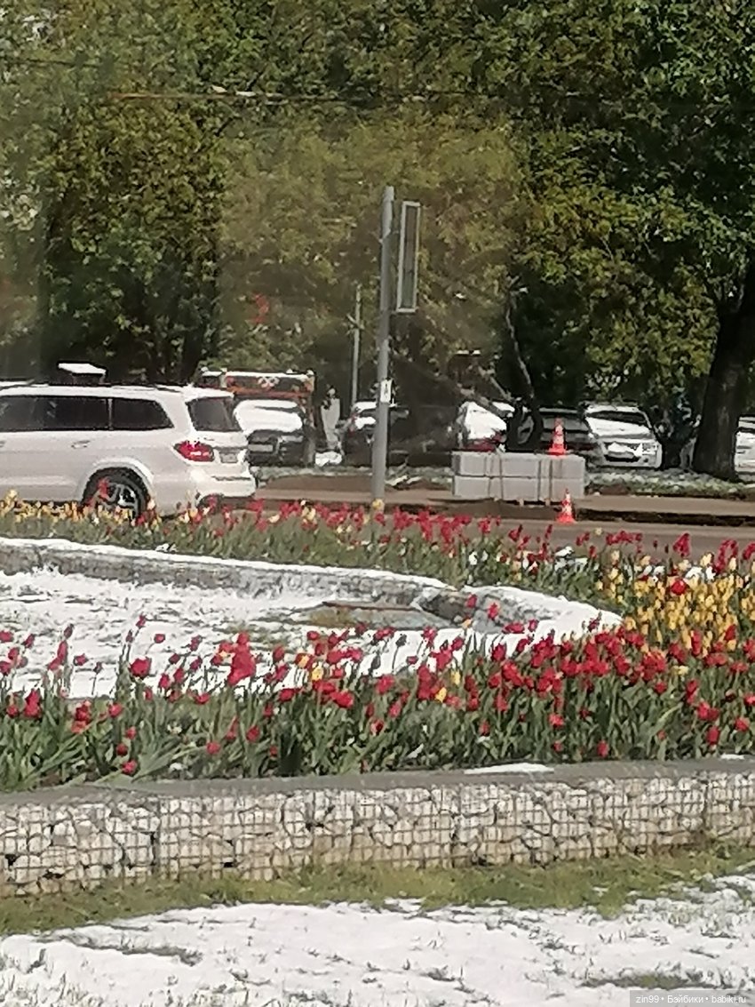 Сабрина в парке Кусково — Куклы Rainbow High (Рейнбоу Хай