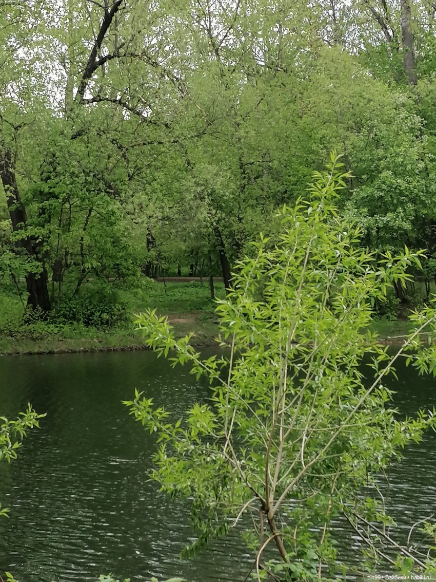 Сабрина в парке Кусково — Куклы Rainbow High (Рейнбоу Хай (фото 3)