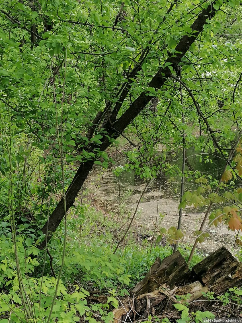 Сабрина в парке Кусково — Куклы Rainbow High (Рейнбоу Хай (фото 2)