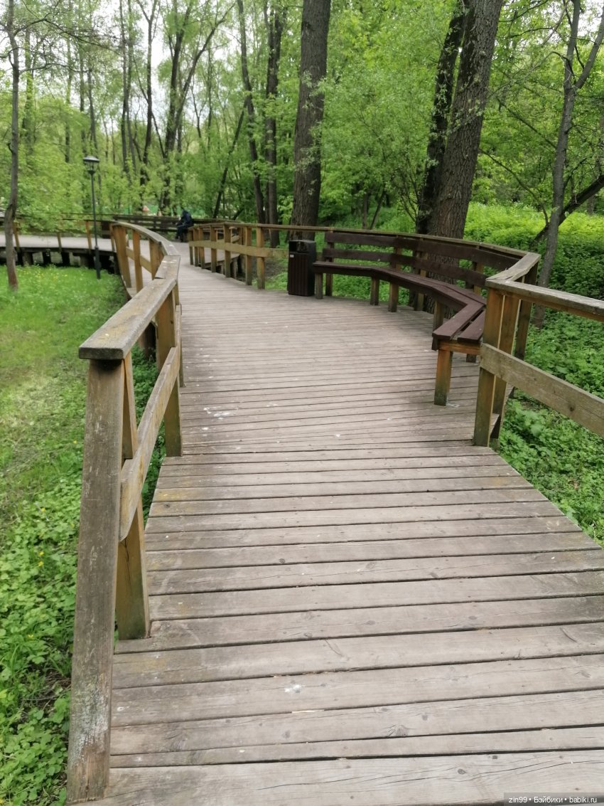 Возвращение Фейсинки Сюзи