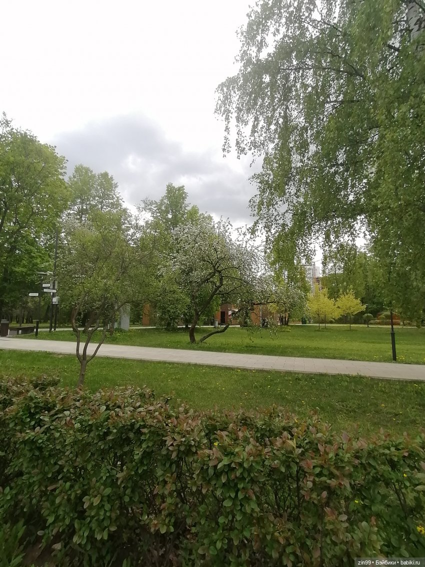 Возвращение Фейсинки Сюзи